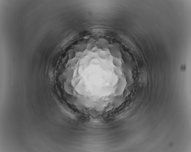 X0000091090573200708201500