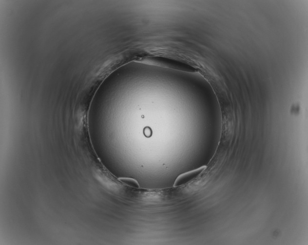 X0000091090574200708201500