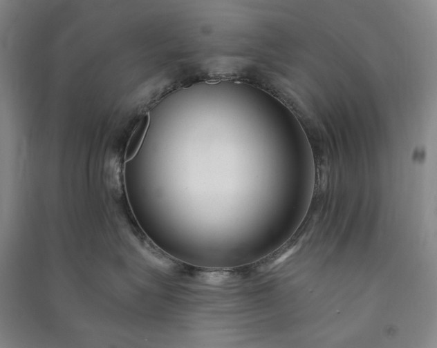 X0000091090575200708201500