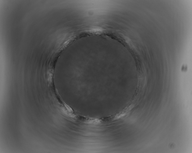 X0000091090576200708201500