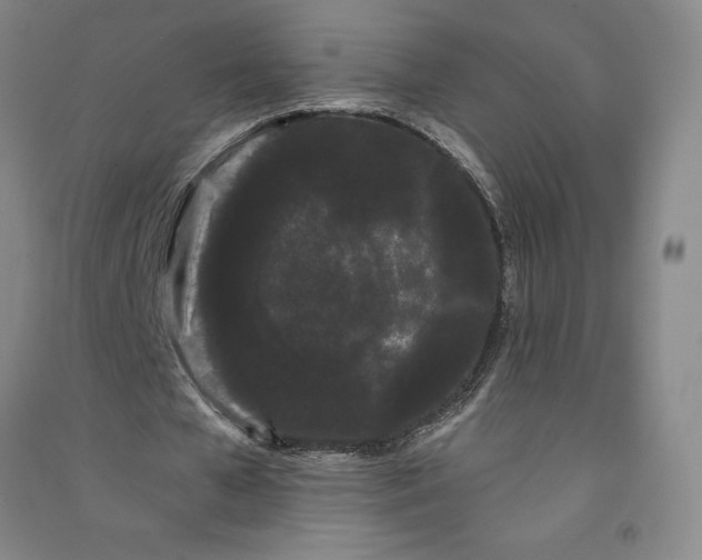 X0000091090577200708201459