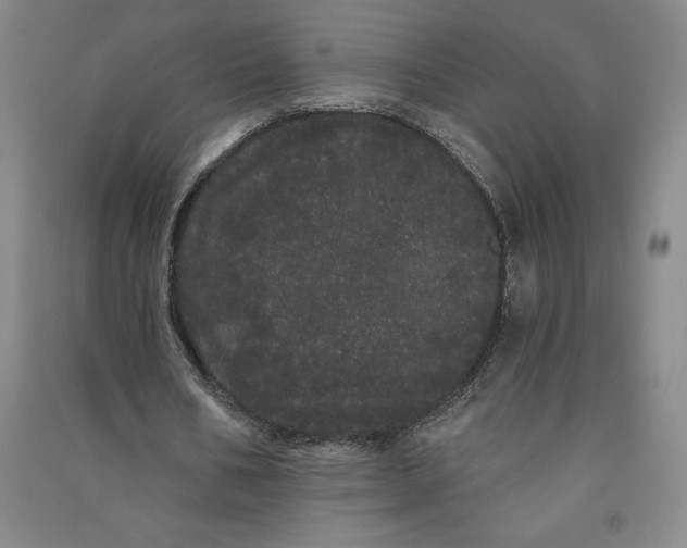 X0000091090578200708201459