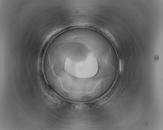 X0000091090579200708201459