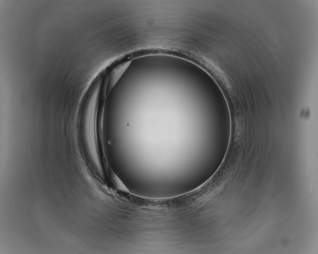 X0000091090580200708201459