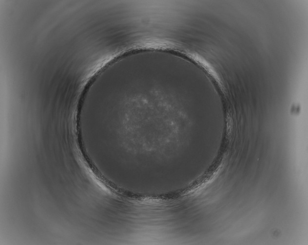 X0000091090581200708201459