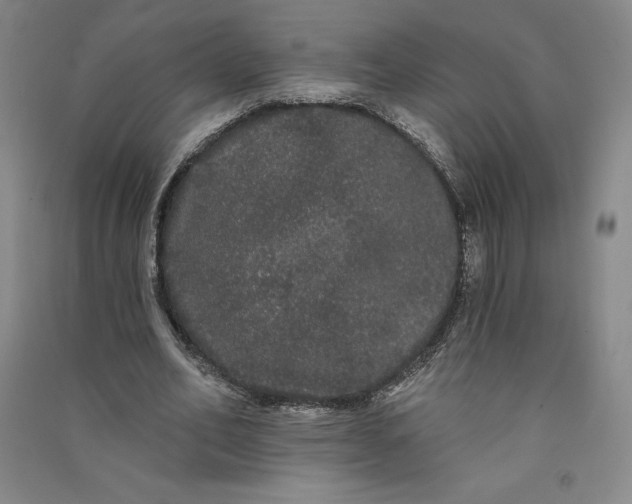 X0000091090582200708201459