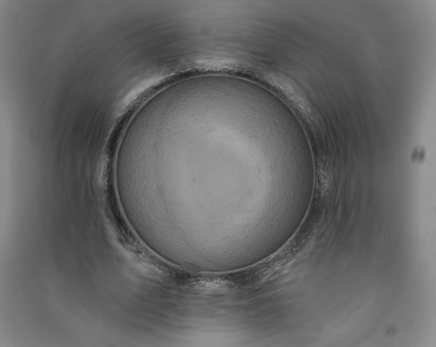 X0000091090583200708201459