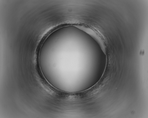 X0000091090584200708201459