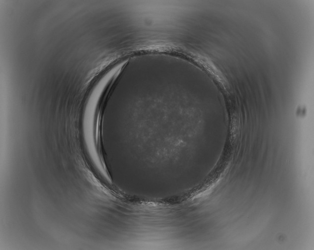 X0000091090585200708201459