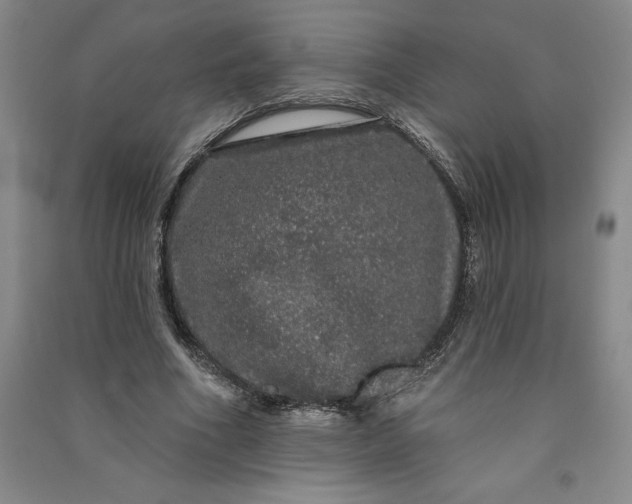 X0000091090586200708201459