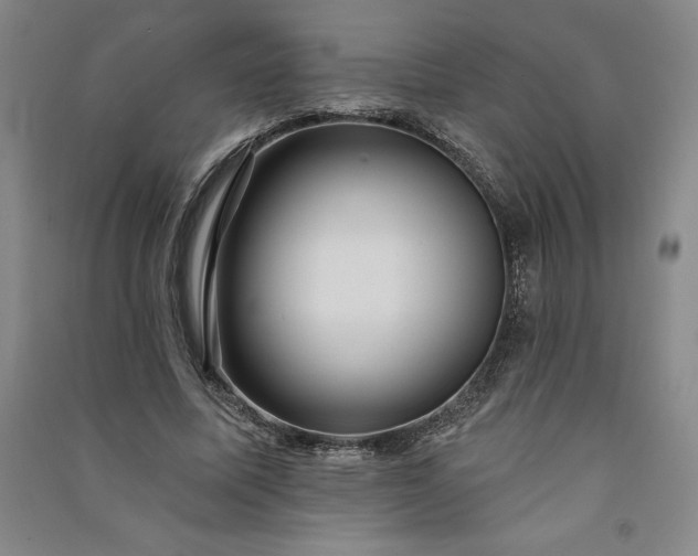 X0000091090587200708201459