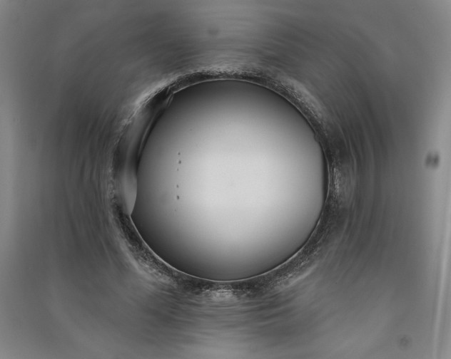 X0000091090588200708201459