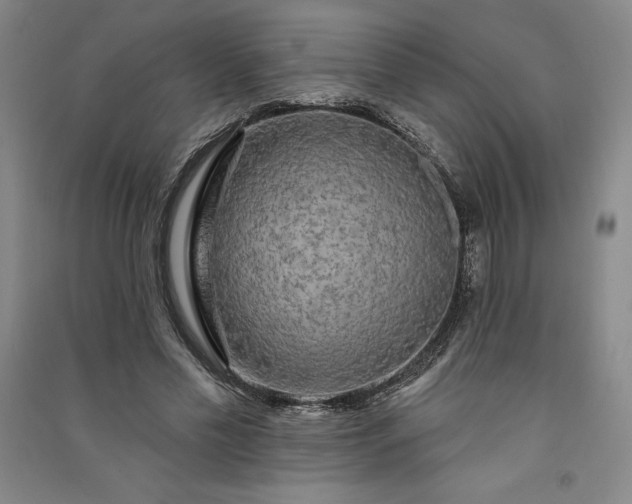 X0000091090589200708201459