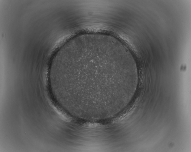 X0000091090590200708201459