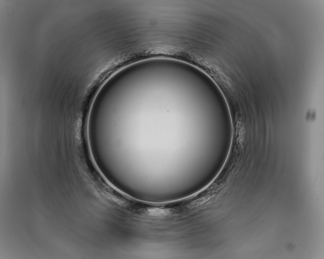 X0000091090591200708201459