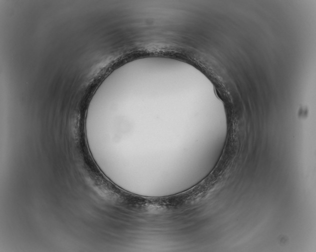 X0000091090592200708201459