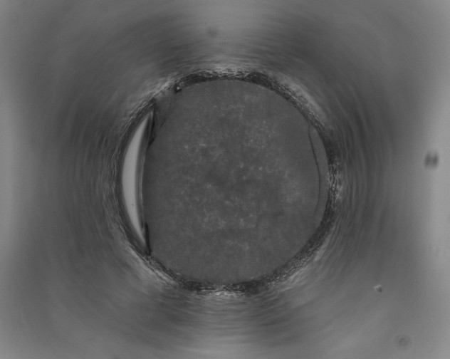 X0000091090593200708201459