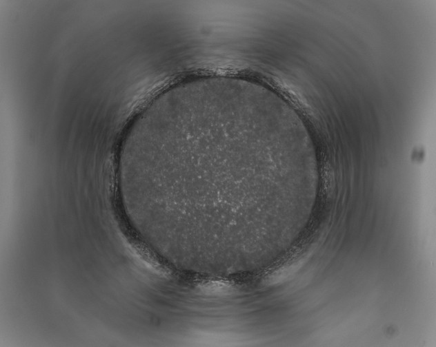 X0000091090594200708201459