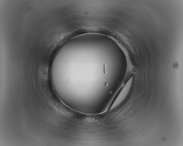 X0000091090596200708201459