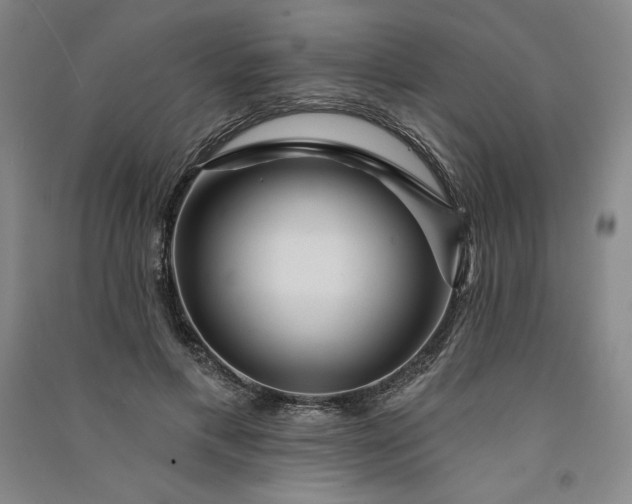 X0000091090597200708201459