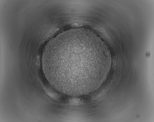 X0000091090598200708201459