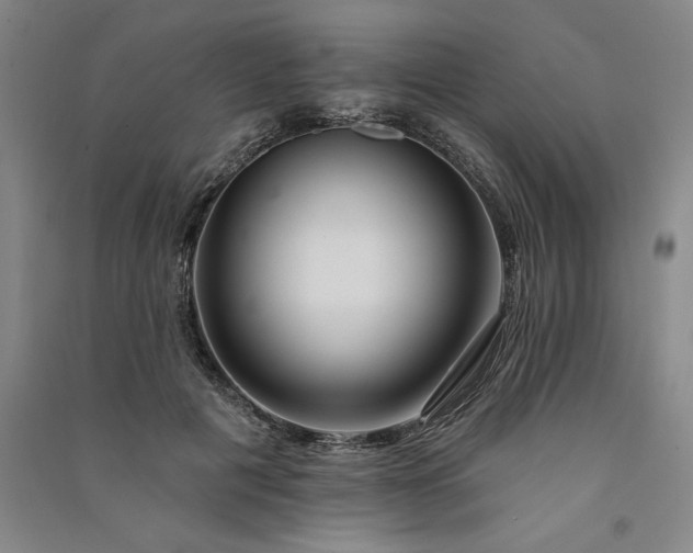 X0000091090601200708201459