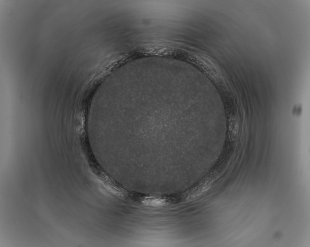 X0000091090602200708201459