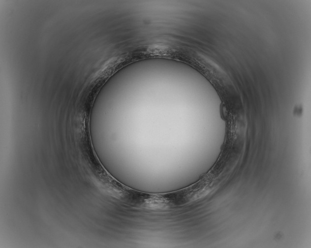 X0000091090603200708201459