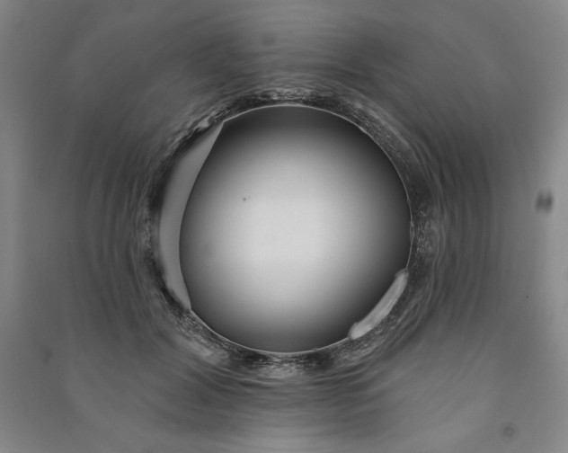 X0000091090604200708201459