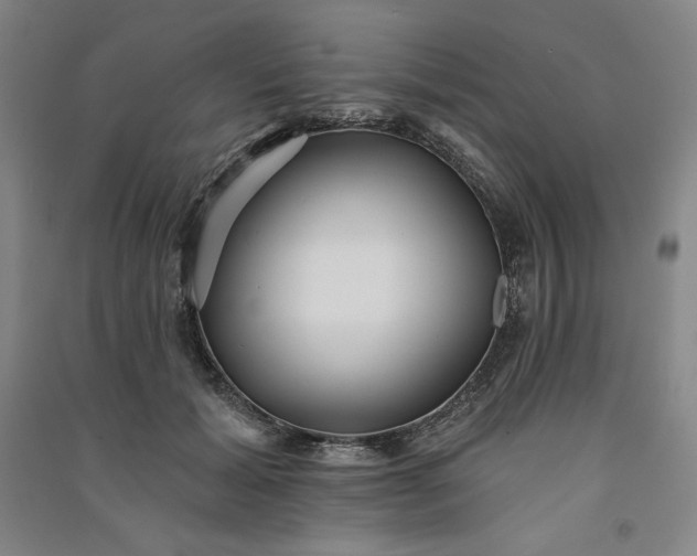 X0000091090605200708201459