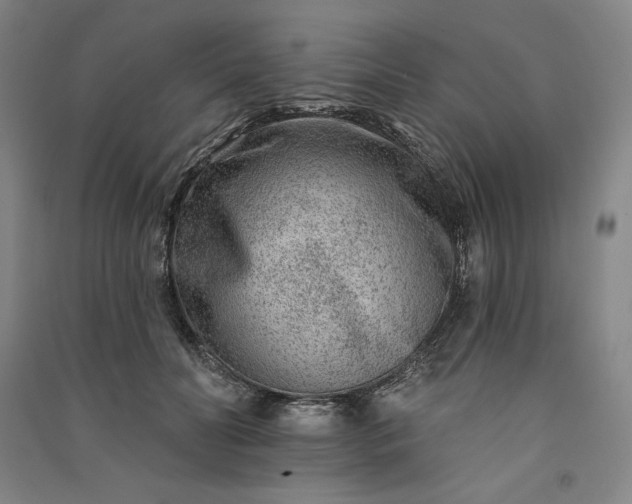 X0000091090606200708201459