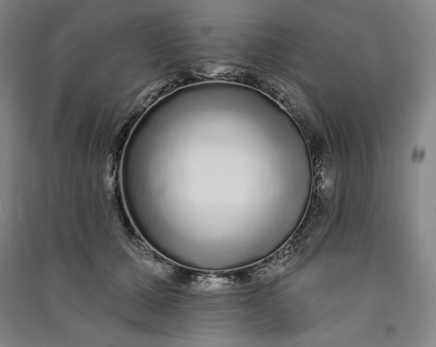 X0000091090607200708201459