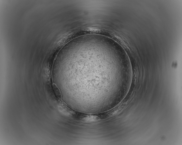 X0000091090609200708201459