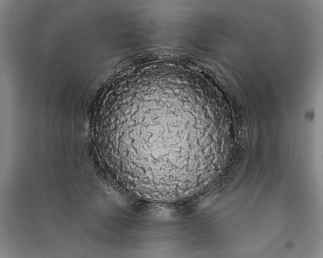 X0000091090610200708201459