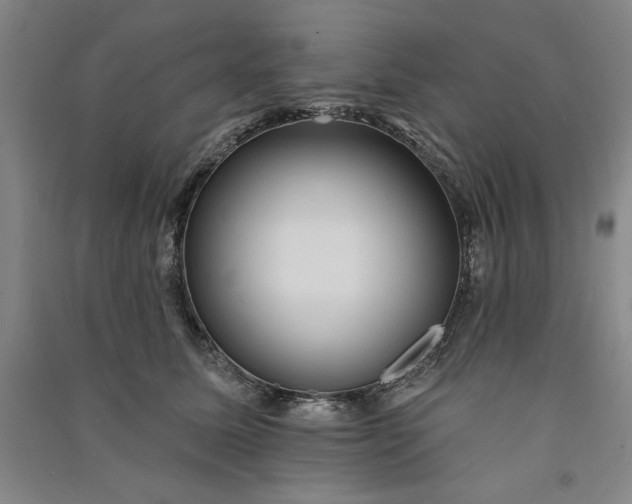 X0000091090611200708201459