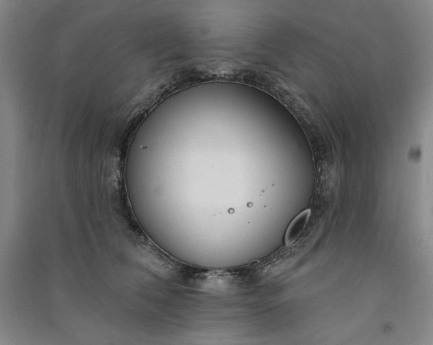 X0000091090612200708201459