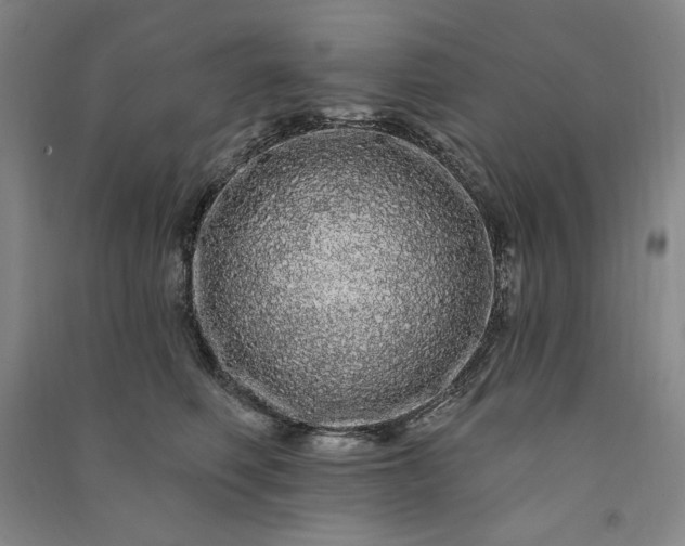 X0000091090614200708201459