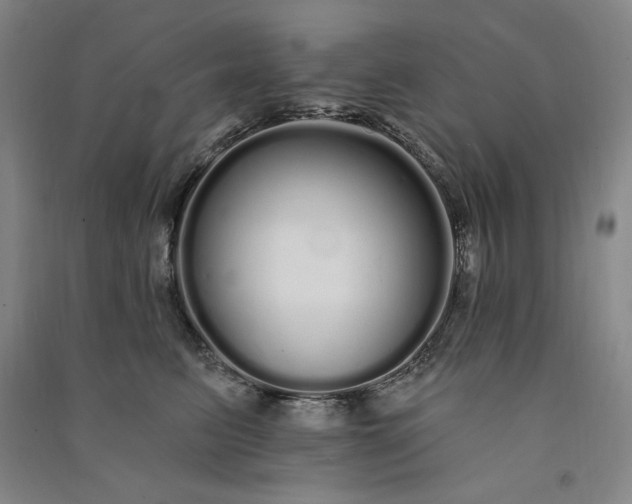 X0000091090615200708201459