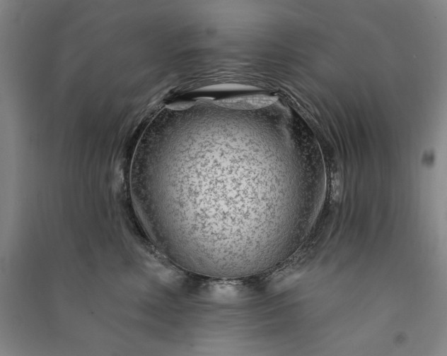 X0000091090618200708201459