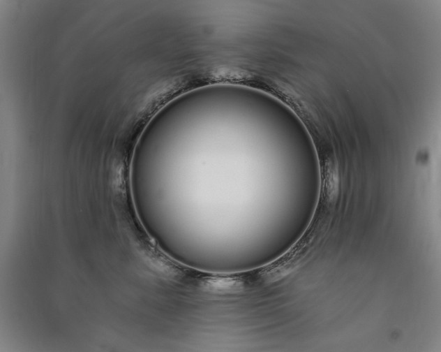 X0000091090619200708201459