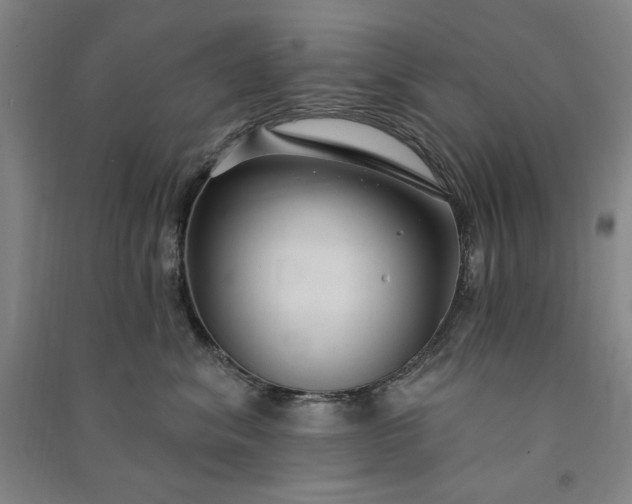 X0000091090620200708201459