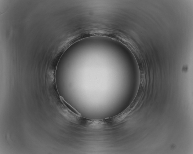 X0000091090621200708201459