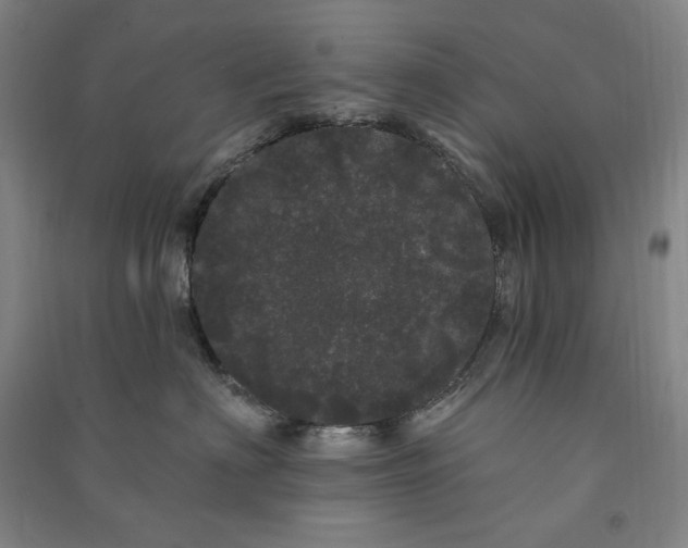 X0000091090622200708201459