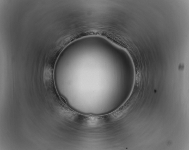 X0000091090623200708201459