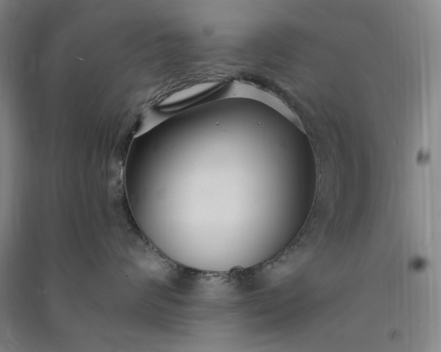 X0000091090624200708201459