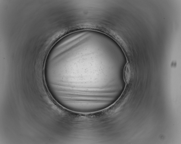 X0000091090625200708201458