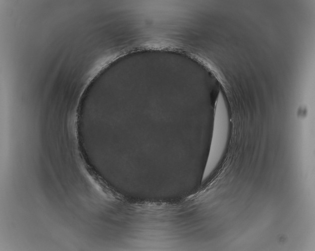 X0000091090626200708201458