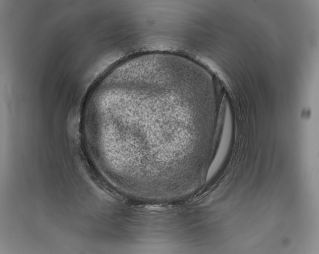 X0000091090627200708201458