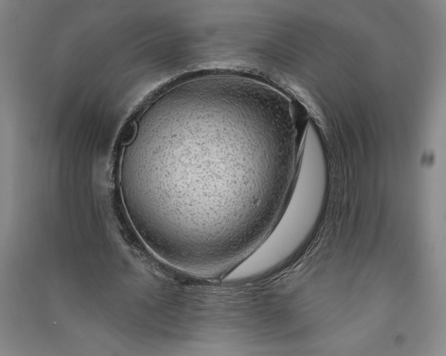 X0000091090628200708201458