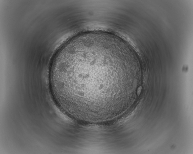 X0000091090629200708201458